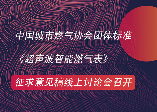 中國(guó)城市燃?xì)鈪f(xié)會(huì)團(tuán)體標(biāo)準(zhǔn)  《超聲波智能燃?xì)獗怼? 征求意見稿線上討論會(huì)召開